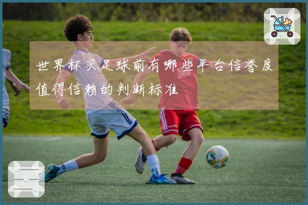 世界杯买足球前有哪些平台信誉度值得信赖的判断标准